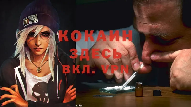 COCAIN FishScale  Пошехонье 